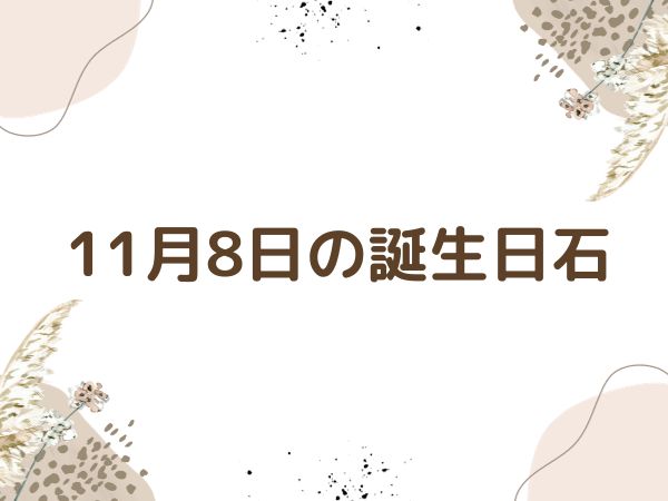 【誕生日石・11月8日】レッド・トパーズ 、キャストライト、パール