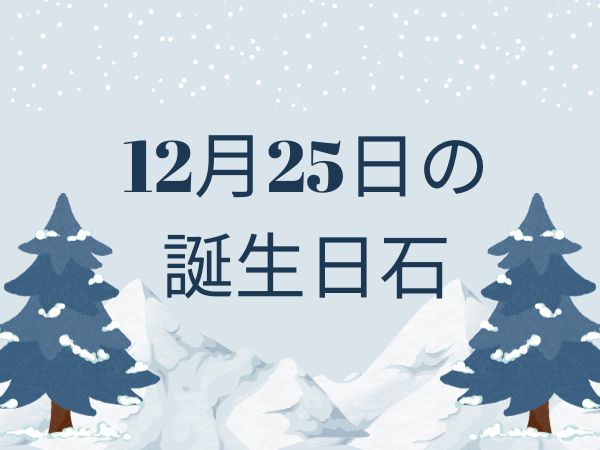 【誕生日石・12月25日】キャストライト、ジェット 、アメトリン